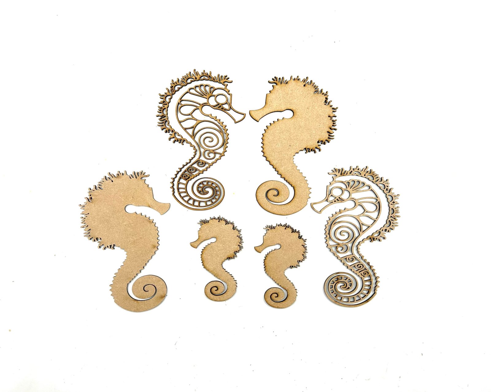 2PM sea horse pack 2PM sea horse pack